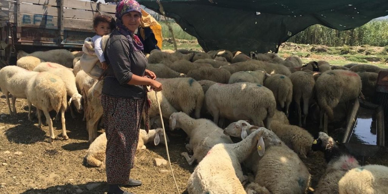 Yerlerinden edilen Yörükler isyan etti