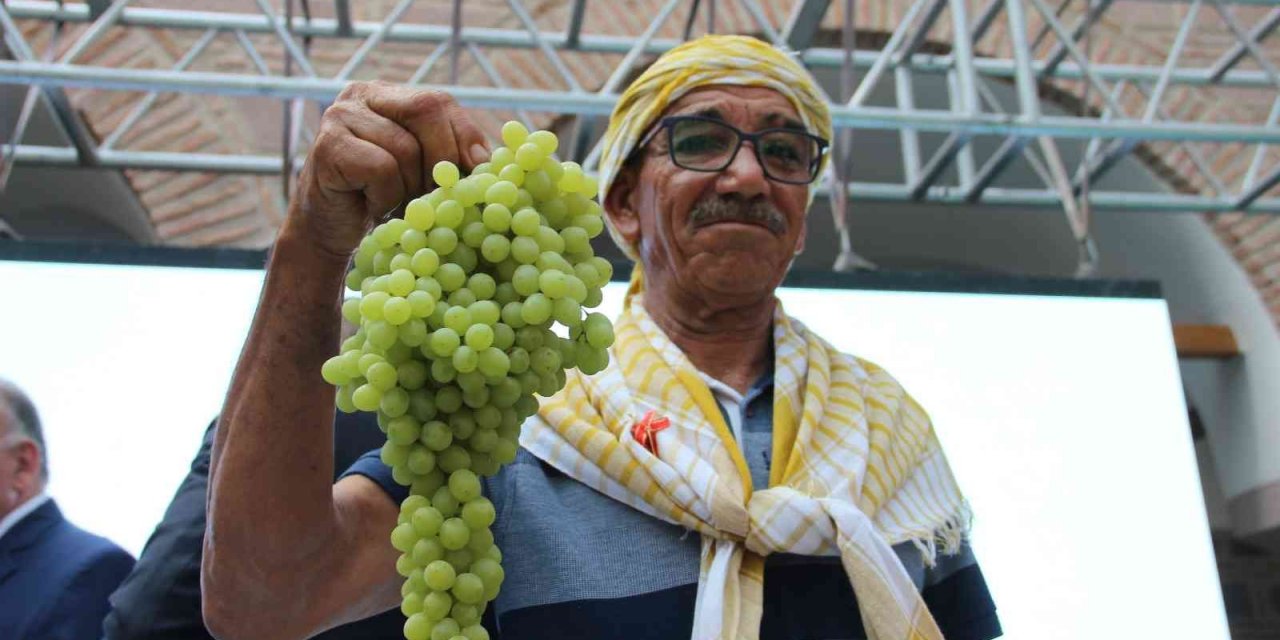 Sezonun ilk kuru üzümüne rekor fiyat