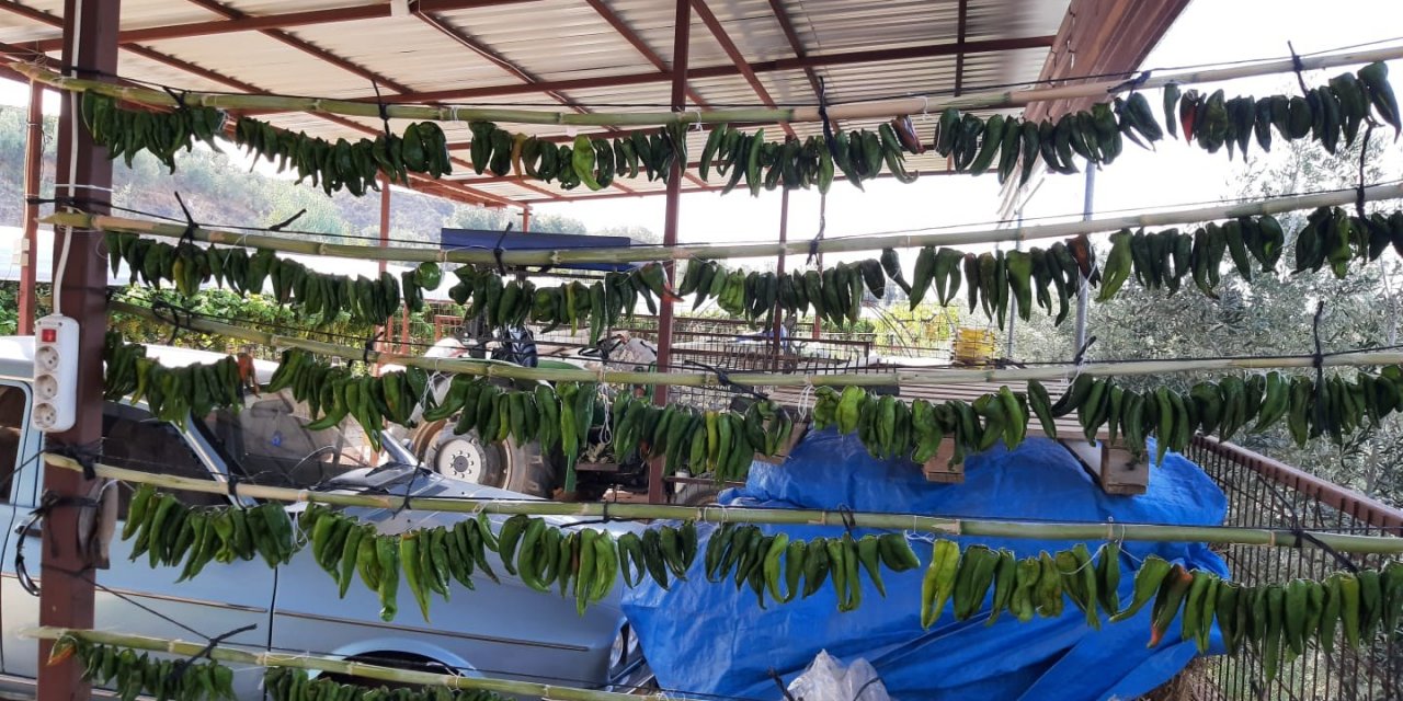 Sarıgöl’de kışlık yiyecek hazırlığı başladı