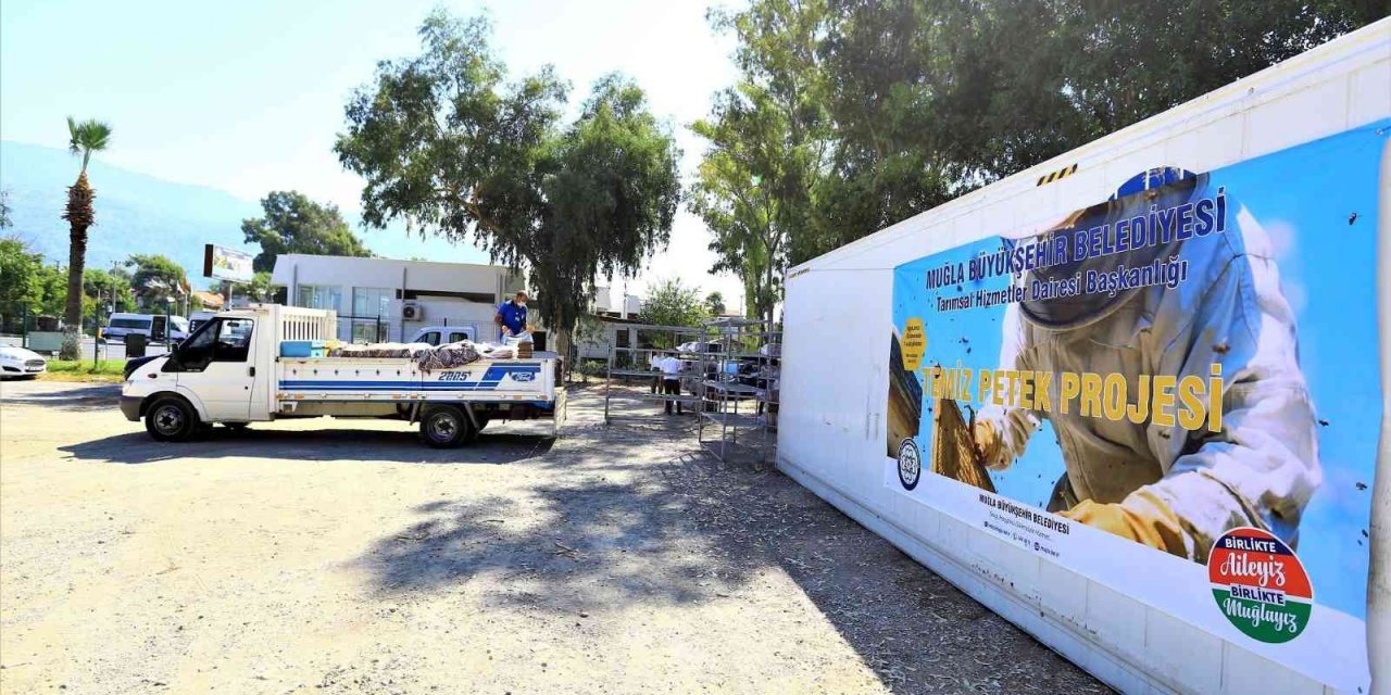 Bal petekleri eksi 30 derecede şoklanıyor