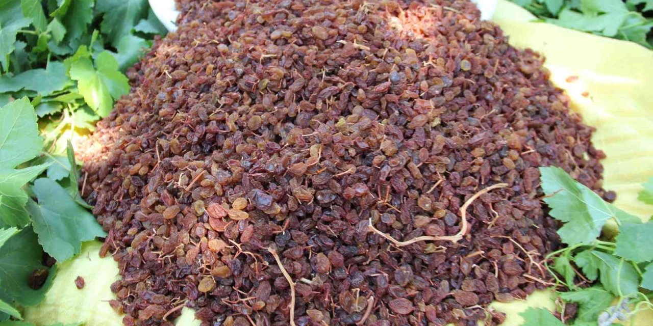 TARİŞ, TMO ile iş birliğine hazır