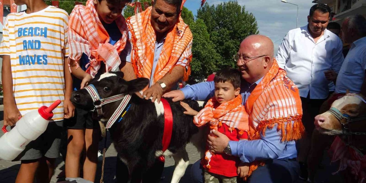 Buzağılar podyuma çıktı