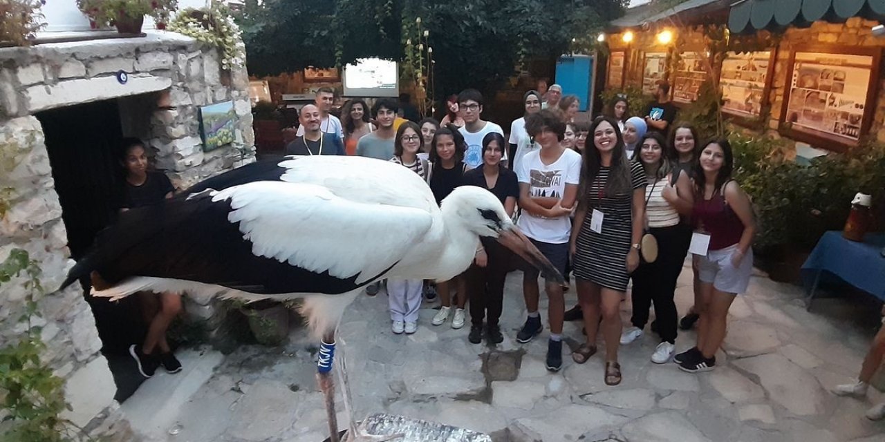 Ölmek üzereyken bulunan leylek yavrusu sağlığına kavuştu