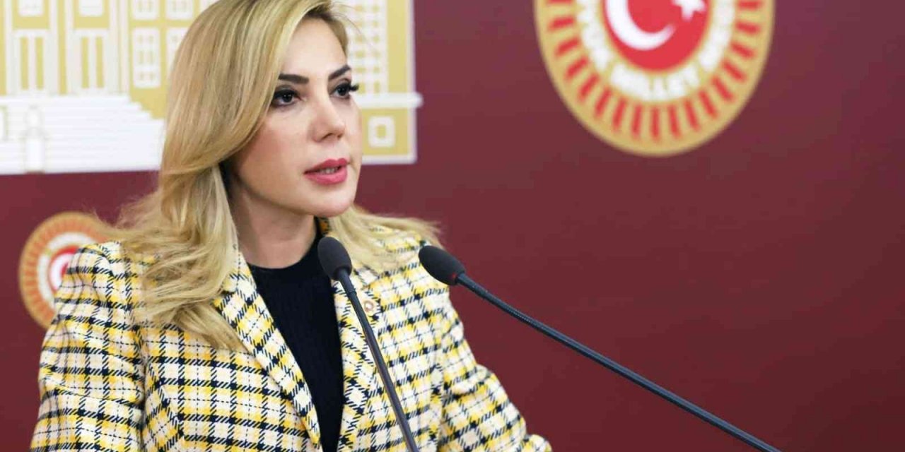 Milletvekili Gökcan’dan ‘30 Ağustos Zafer Bayramı’ mesajı