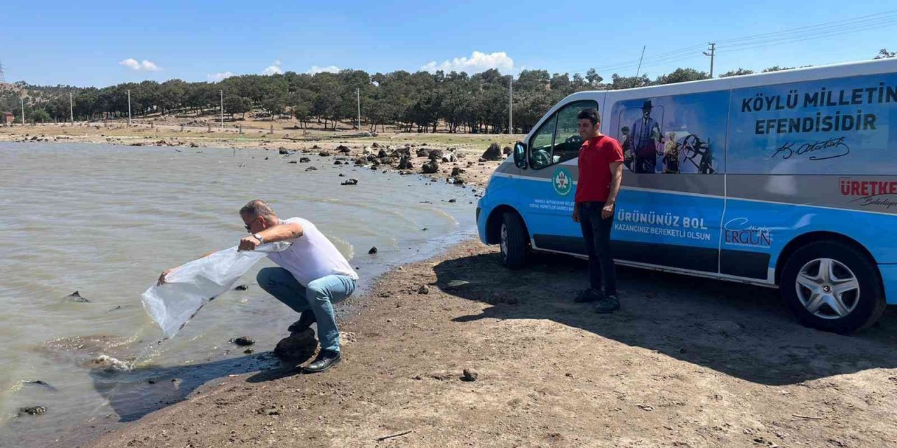 Akhisar ve Kırkağaç’ta 2 gölete 4 bin yavru sazan bırakıldı