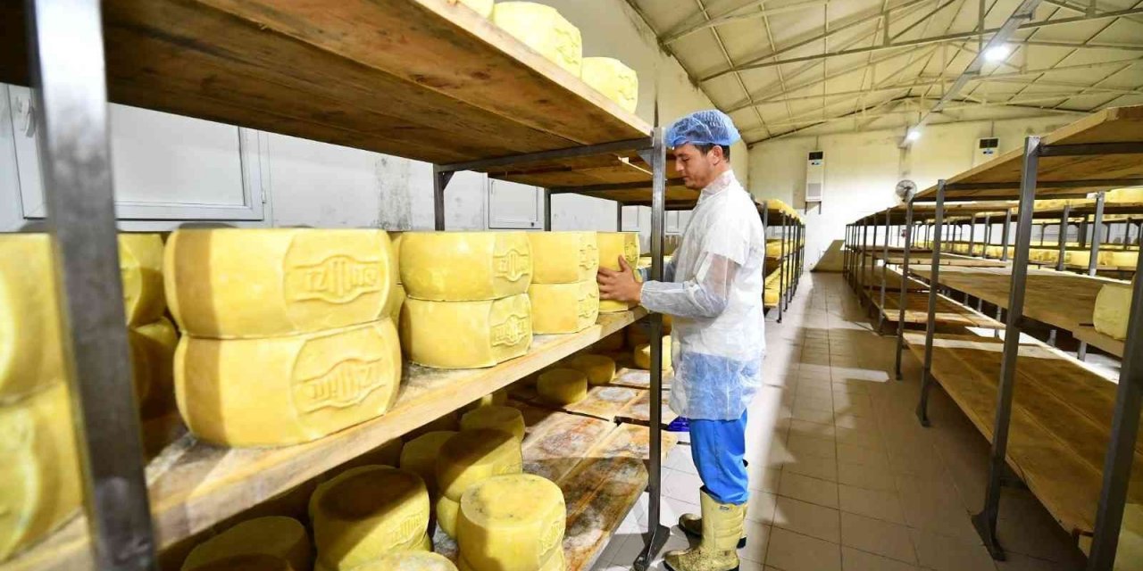 İzmirli üretici Terra Madre Anadolu ile dünyaya açılıyor