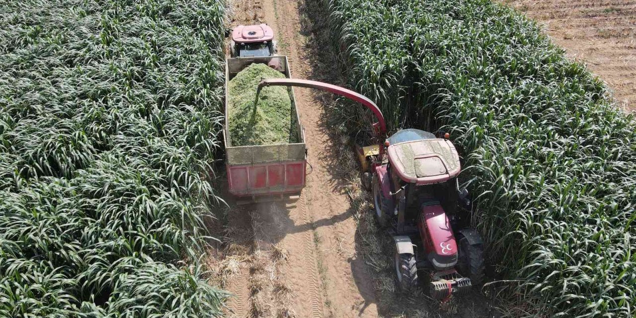 10 yaşındaki çocuk internette izlediği video ile ailesinin hayatını değiştirdi