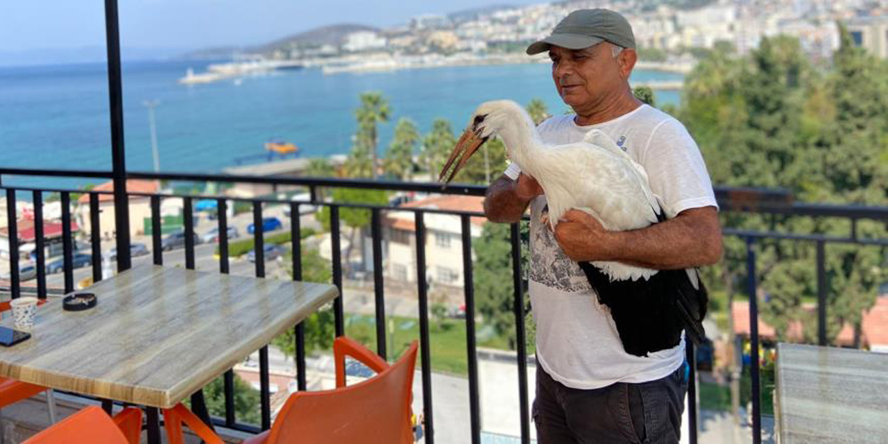 Vefalı leylek Avşarlı Kuşadası’nı terk etmedi