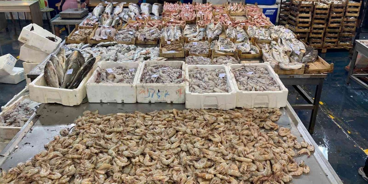 Av sezonu açıldı, balık hali balıkla doldu