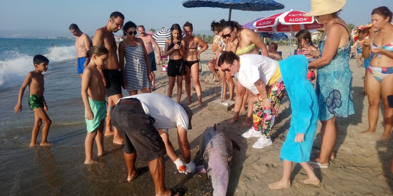 Yunus ölümü tedirgin etti