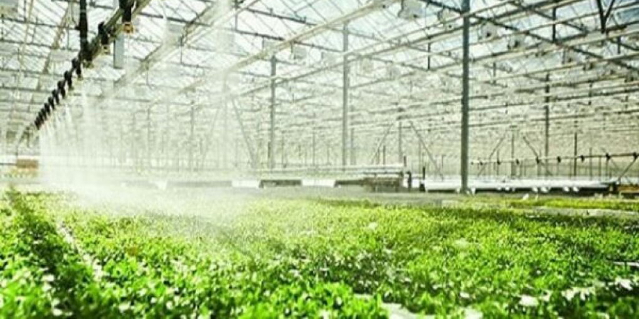 Sera nemlendirme sistemleri nedir?