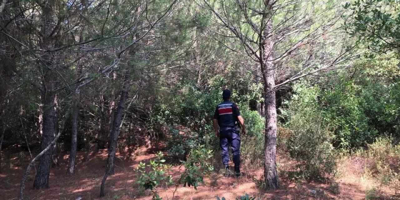 Kuşadası jandarmasından ormanlara sıkı denetim