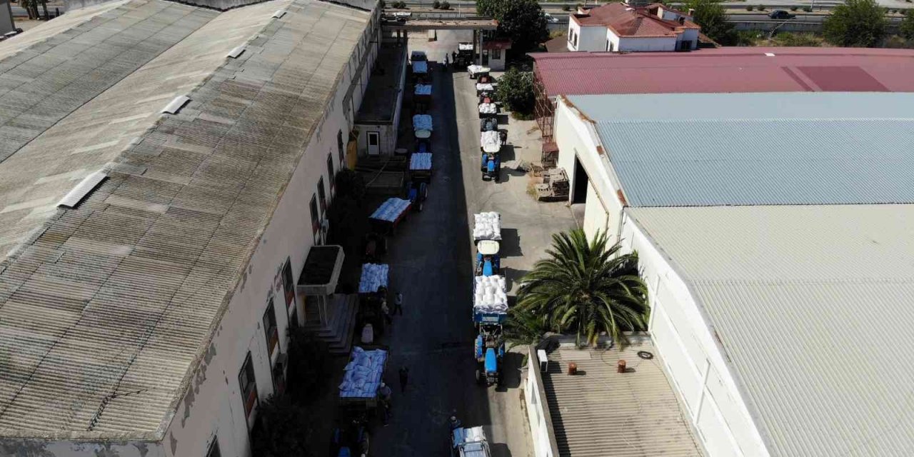 Kuru üzüm alımının başladığı TMO’ya çiftçilerden yoğun ilgi