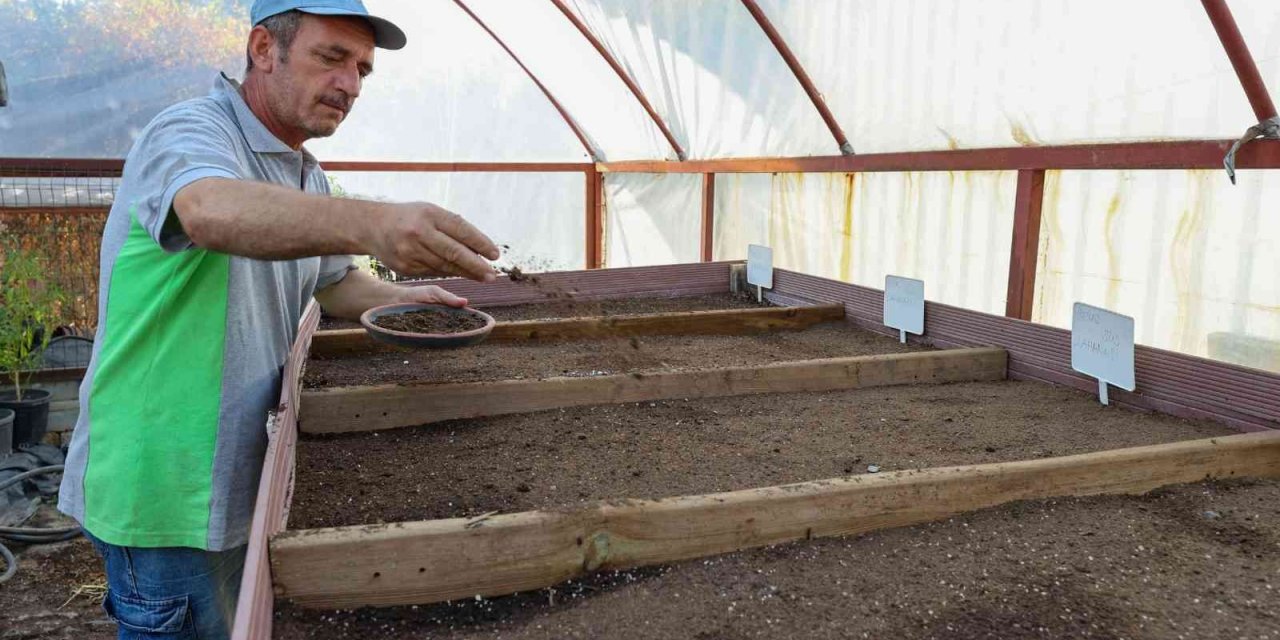 Tohumlar fidana, fidanlar yeşil Buca’ya dönüşüyor