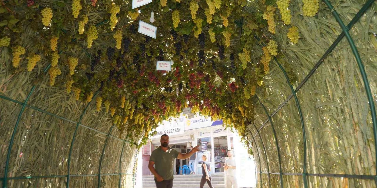 Sarıgöl’deki ’Üzüm Tüneli’ ilgi odağı oldu
