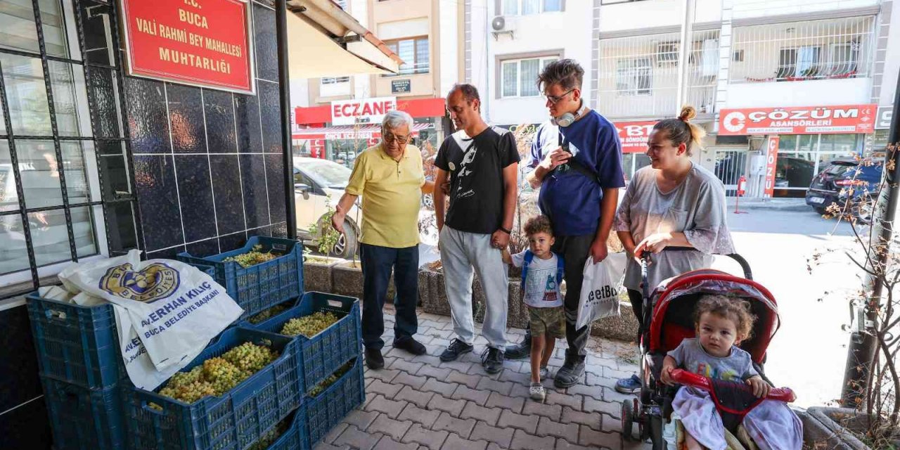 Buca’da bağ bozumu bereketi