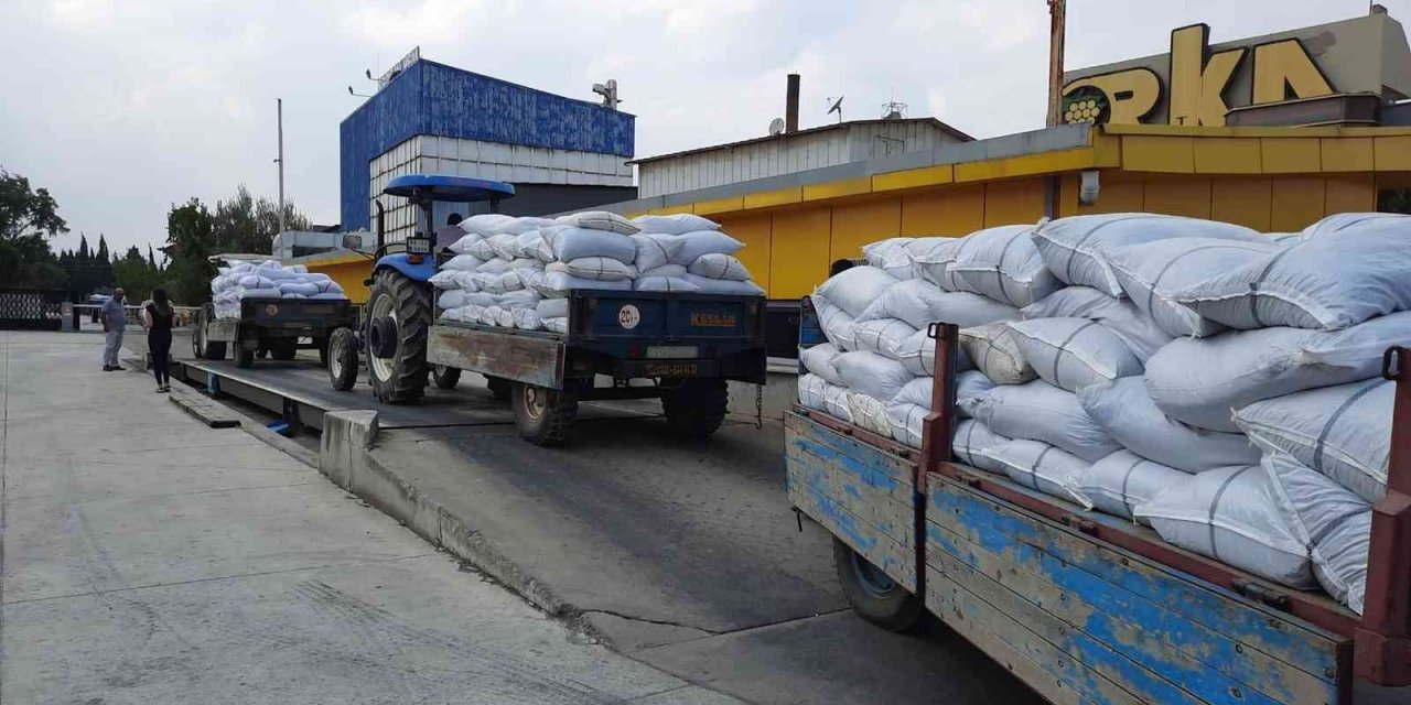 TMO, Turgutlu’da kuru üzüm alımına başladı