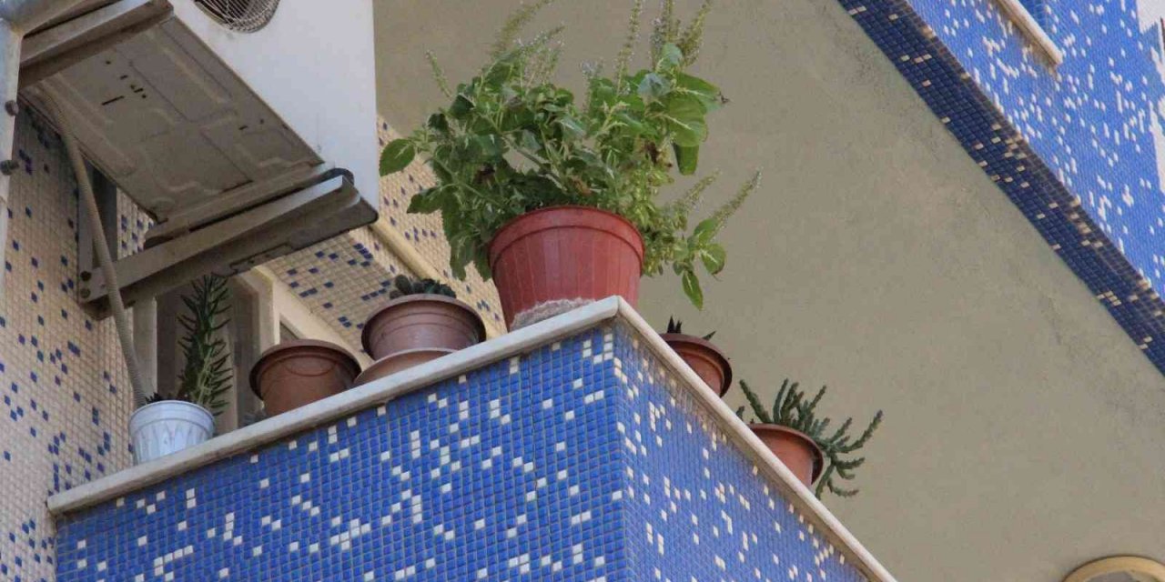 Balkon ve pencere önündeki çiçek saksıları tehlike saçıyor