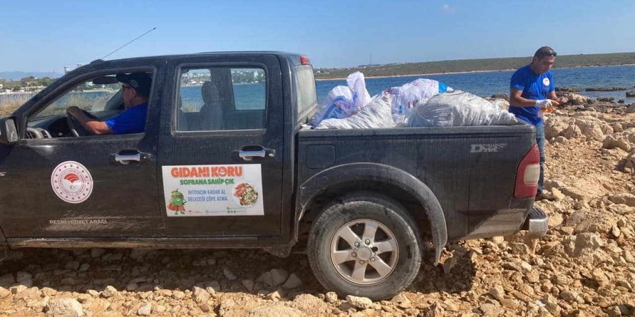 Kaçak olarak toplanan 600 kilogram deniz kestanesi ele geçirildi