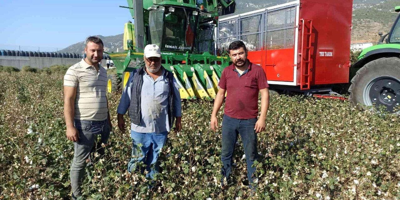 Türkiye’nin pamuk ambarı Söke’de ’beyaz altın’ hasadı başladı