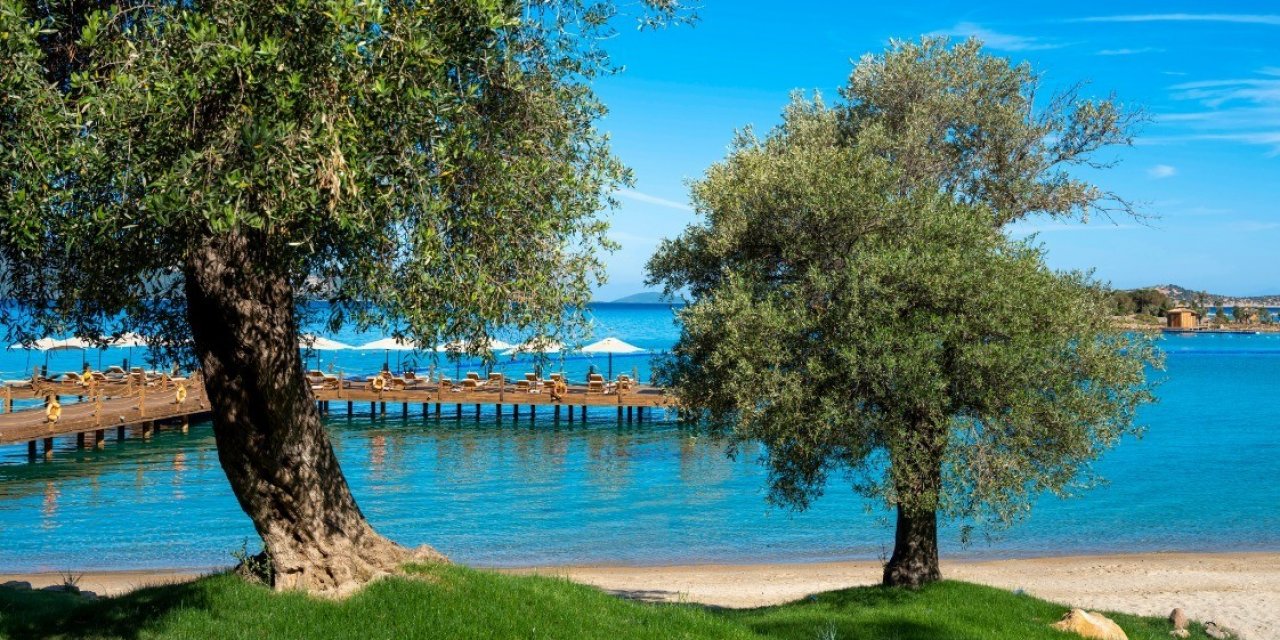 Rixos Olive Fest için geri sayım başladı