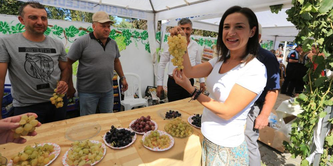 Üzüme dair her şey bu şenlikte