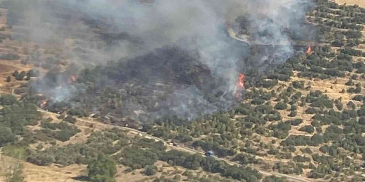 Kiraz ilçesindeki orman yangınına 10 dakikada ilk müdahale
