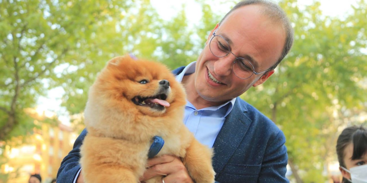 Pamukkale’nin en özel festivali Patifest bu pazar gerçekleşecek