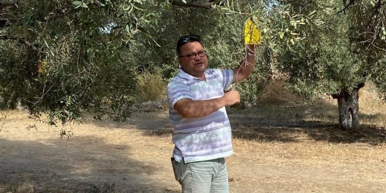 Efeler’de zararlı sinek tuzakları kontrol edildi