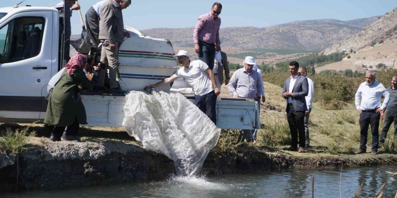 Çivril’de tarla balıkçılığı için ilk adım atıldı