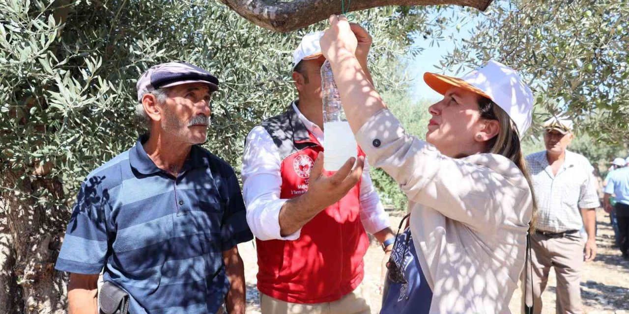 Muğla’da iyi tarım uygulamaları çalışmaları yapılıyor