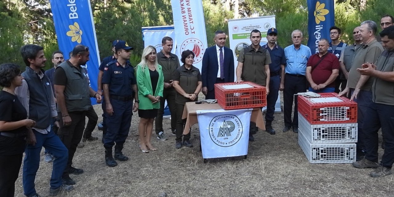 Muğla’da 75 adet kınalı keklik doğa ile buluştu