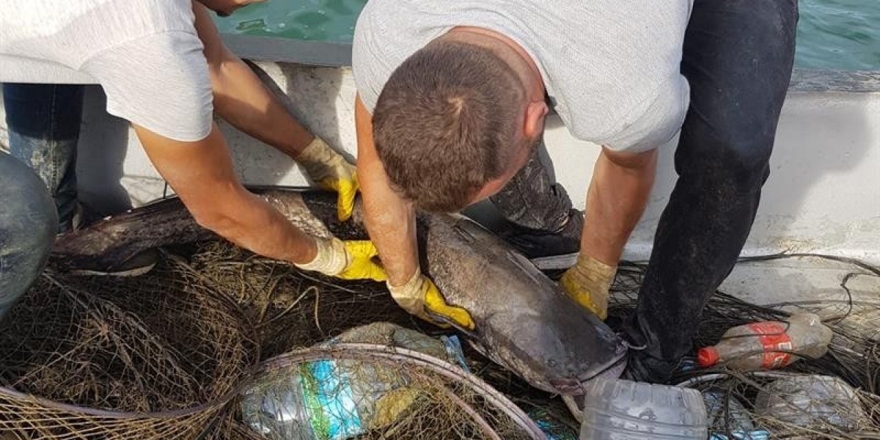 Aydın’da kaçak avcılığa geçit verilmiyor