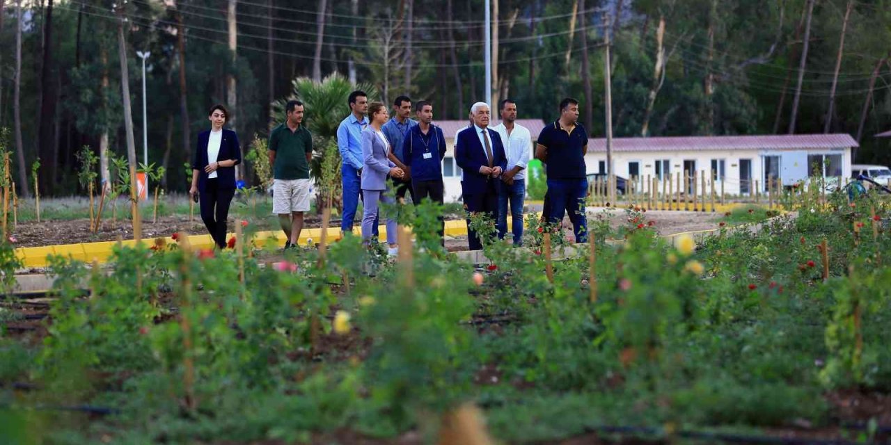 Başkan Gürün Tıbbi Bitkiler Koleksiyon Bahçesi’ni inceledi