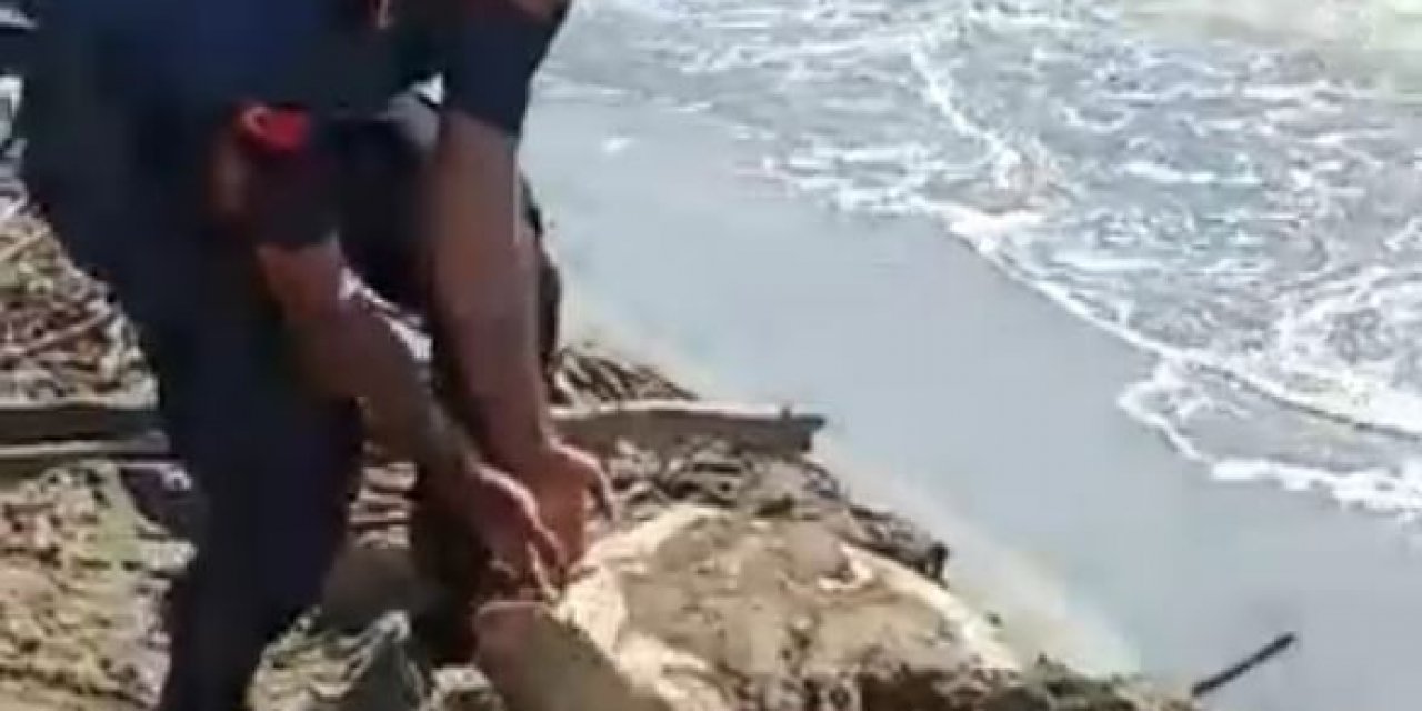 Jandarmanın dikkati deniz kaplumbağasını kurtardı