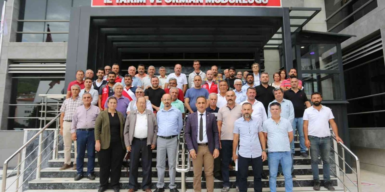 Muğla’da hasat öncesi zeytinyağı işletmesi sahipleriyle toplantı düzenlendi