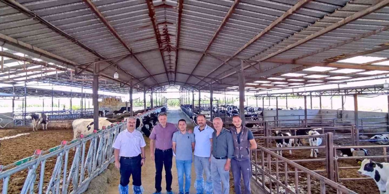 Denizli’de hastalıktan ari işletmeler denetleniyor