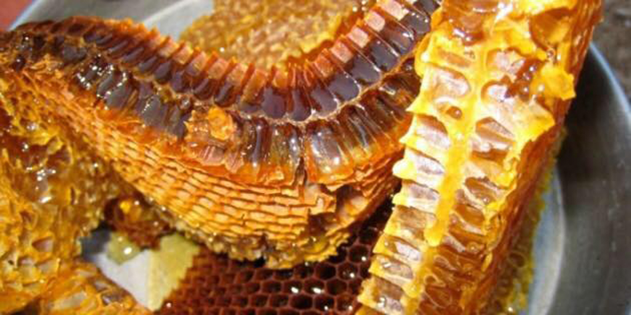 Anzer balı nasıl üretilir?