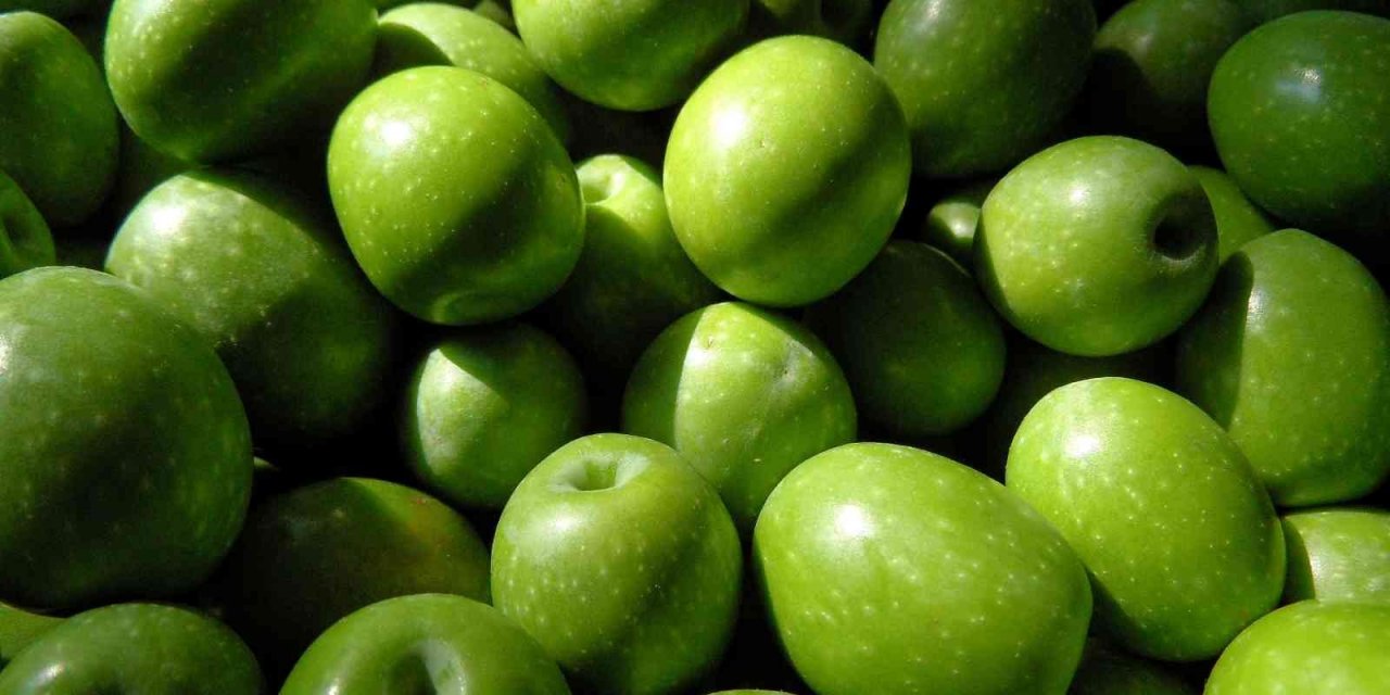 Sofralık zeytin ihracatında tarihi rekor