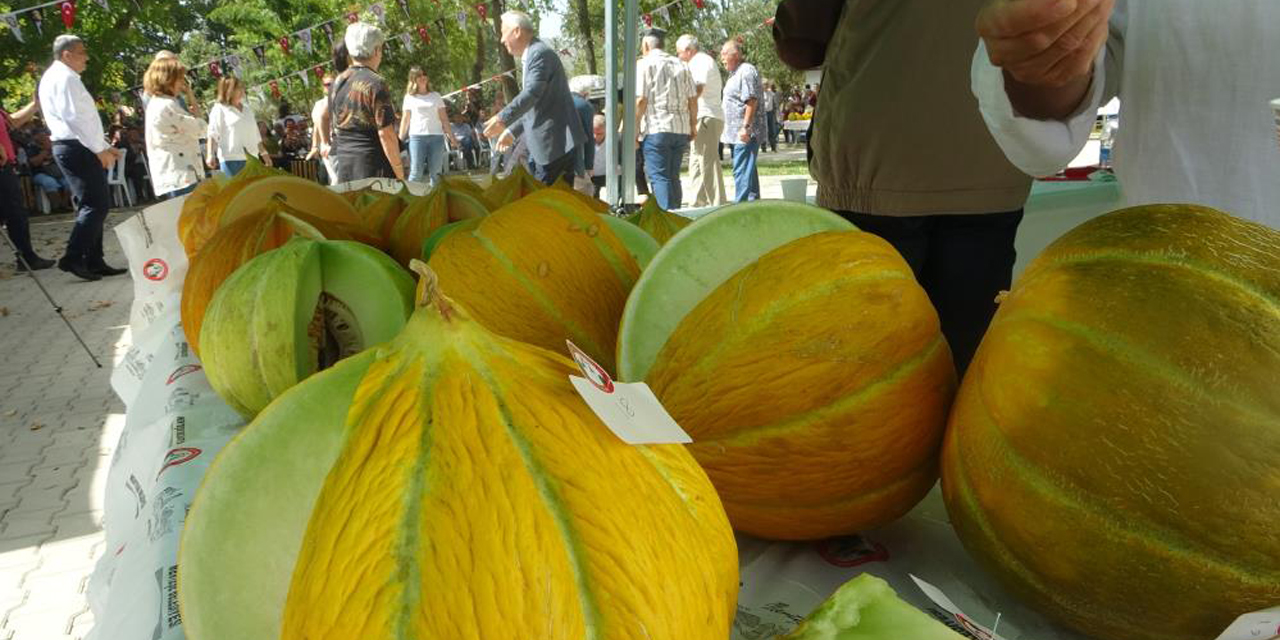 Kavun üreticileri kıyasıya yarıştı