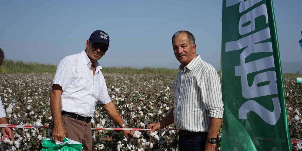 Hektaş’ın yeni pamuk tohumu Egeli çiftçilere tanıtıldı