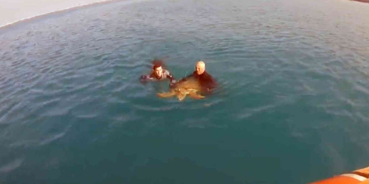 Sahil Güvenlikten hayvanları koruma günü hassasiyeti