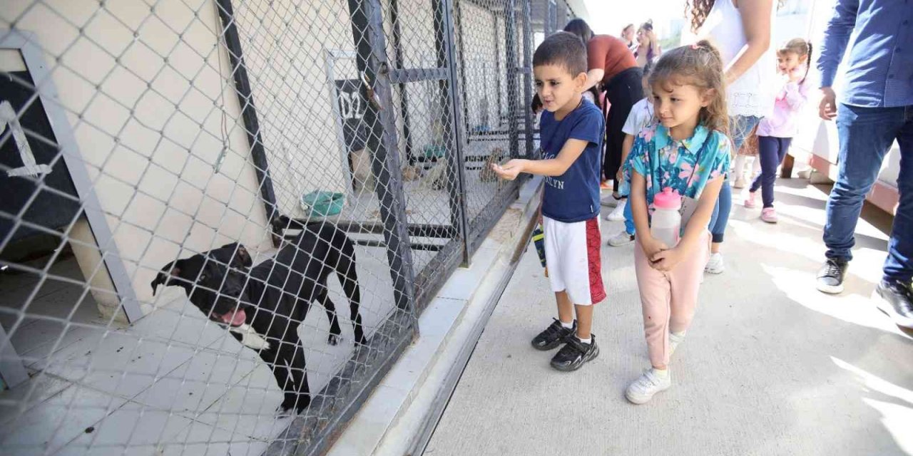 Bayraklı’da minikler can dostlarla buluştu