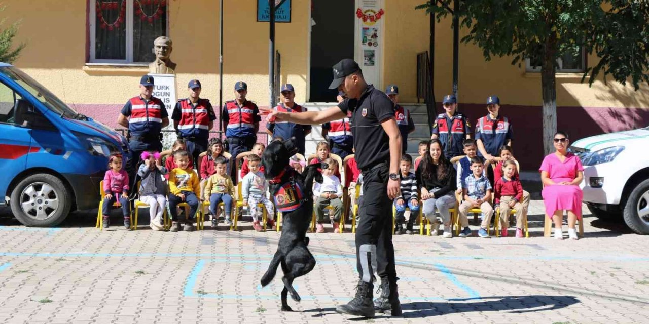 Jandarmadan Hayvanları Koruna Günü etkinliği