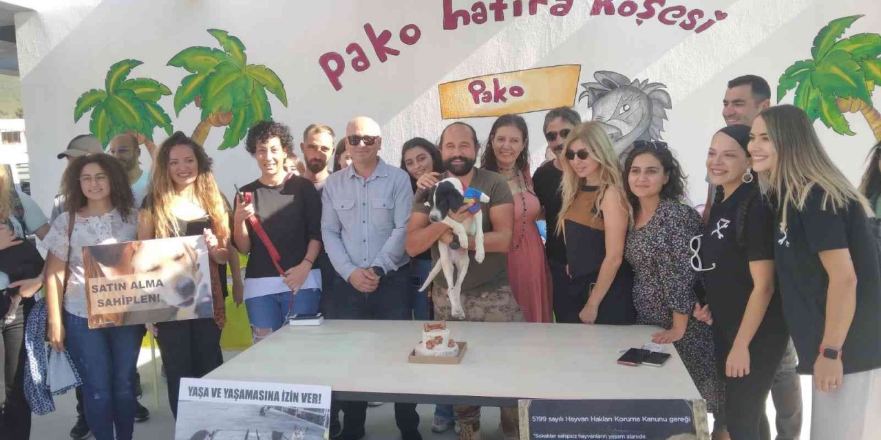 4 Ekim Hayvanları Koruma Günü Pako’da kutlandı