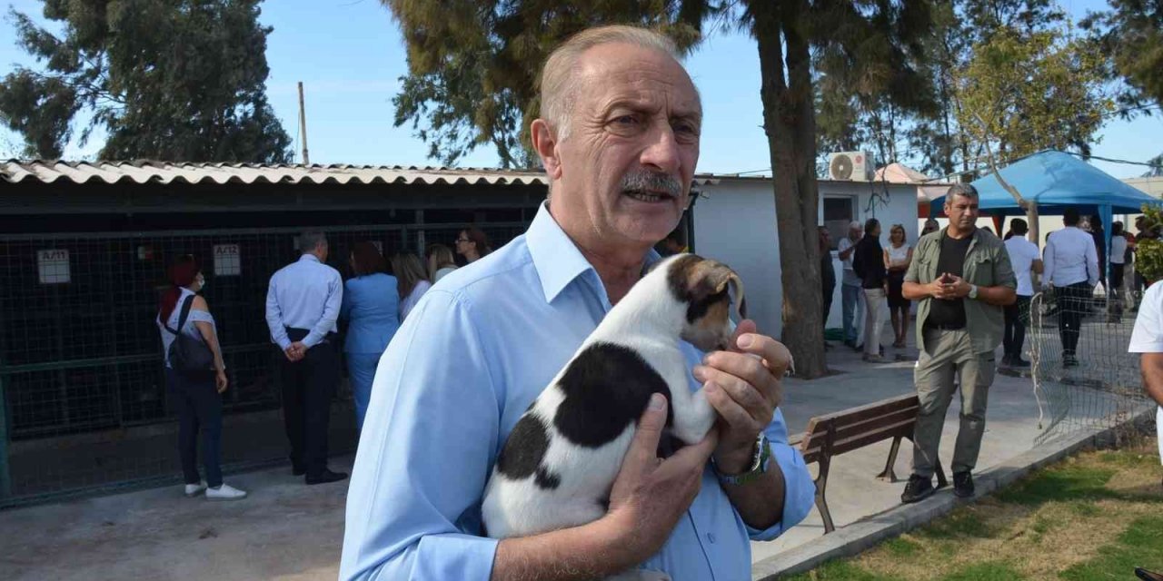 Didim Belediyesi’nden sokak hayvanlarına yönelik yeni bir adım atıldı