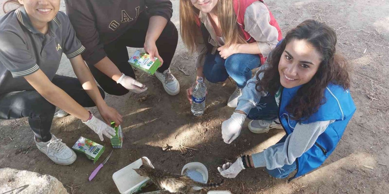 Germencikli gençler sokak hayvanlarını unutmadı