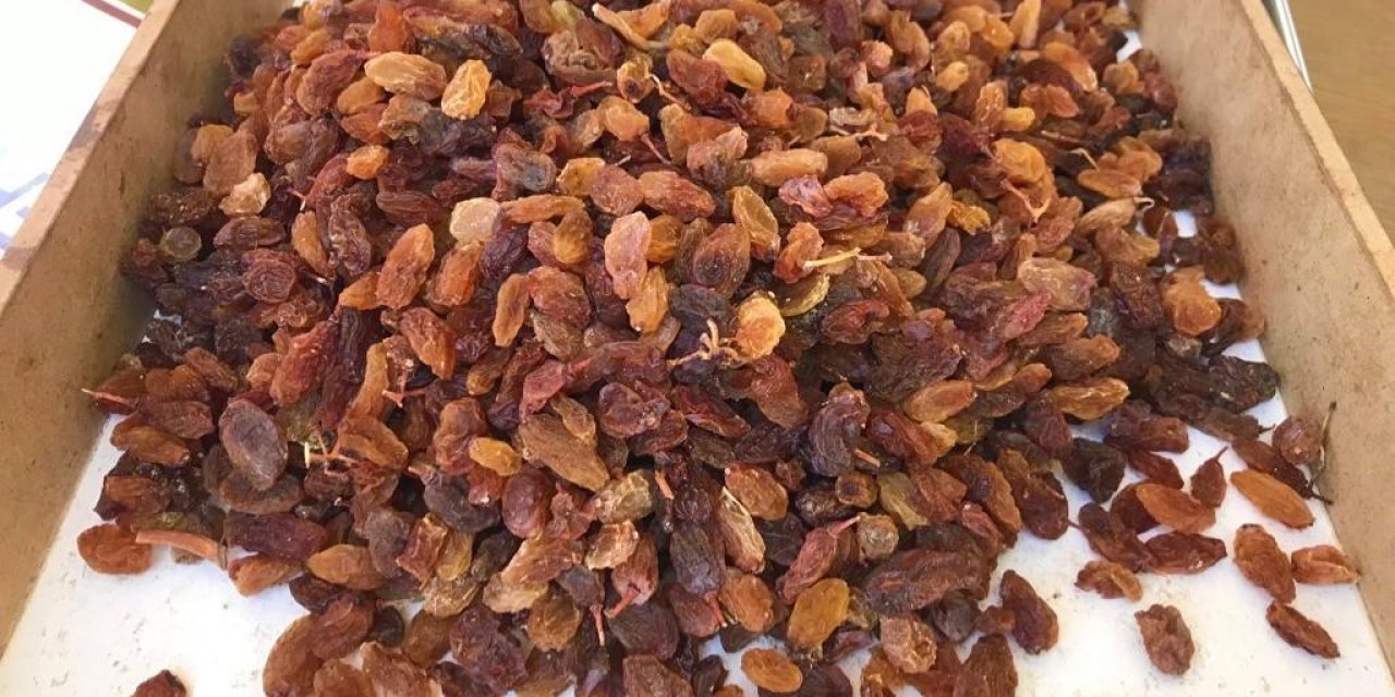 Bereketli bir sezon geçiren üzümcünün yüzü gülüyor