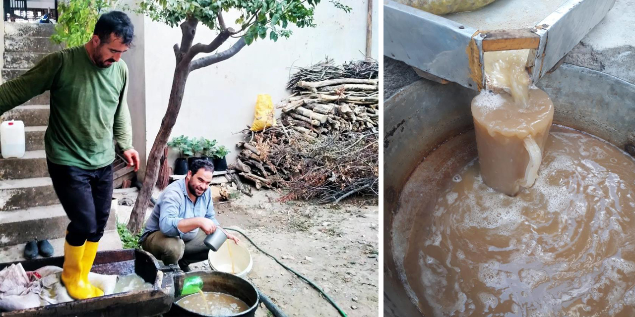 Aydın’ın kırsal mahallelerinde şifa kaynağı pekmez yapımı hız kazandı