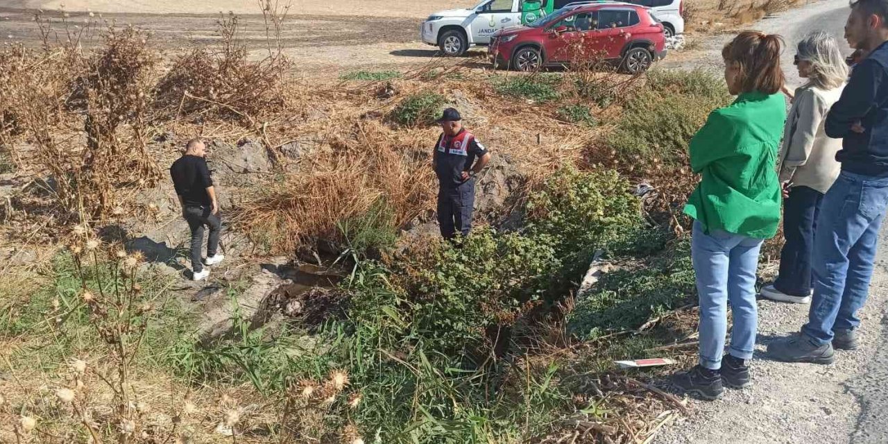 İzmir’de çevreyi kirlettiği belirlenen firmaya 131 bin 516 TL ceza